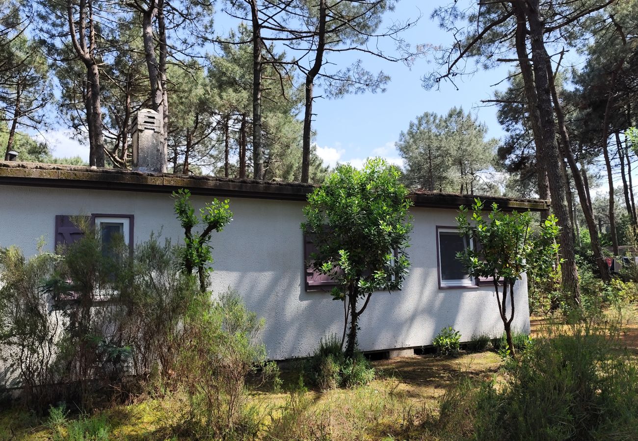 freistehendes Haus in Grayan-et-l´Hôpital - ITALIE 4