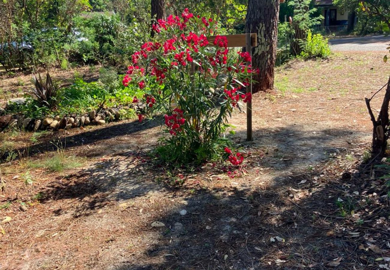 Studio in Grayan-et-l´Hôpital - Studio URSS 10 Sud