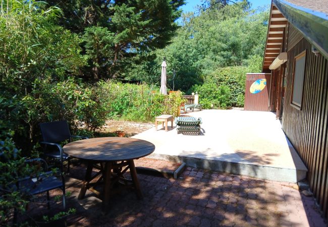 Chalet in Grayan-et-l´Hôpital - Chalet Bahia 3 Chalet in Grayan-et-l´Hôpital - Chalet Bahia 3