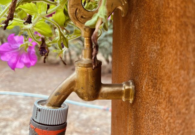 Chalet in Grayan-et-l´Hôpital - Chalet Canada 19 Chalet in Grayan-et-l´Hôpital - Chalet Canada 19