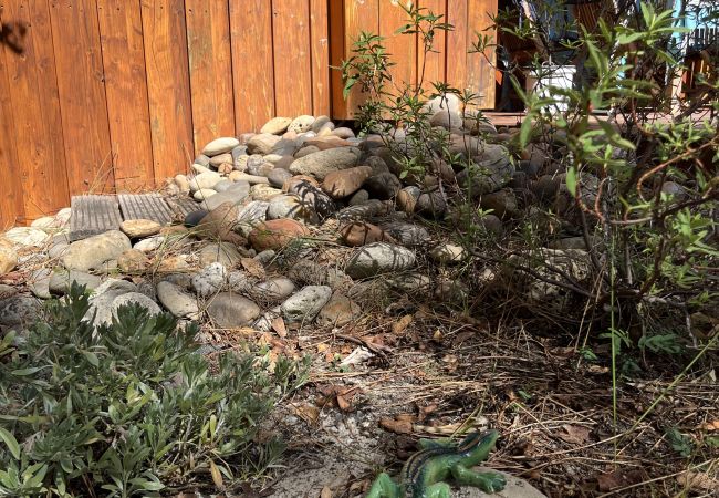 Chalet in Grayan-et-l´Hôpital - Chalet Canada 19 Chalet in Grayan-et-l´Hôpital - Chalet Canada 19