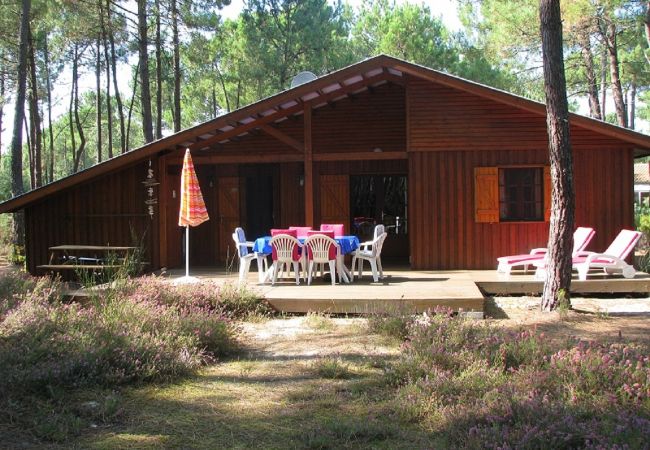 freistehendes Haus in Grayan-et-l´Hôpital - Chalet Nouvelle Calédonie 1