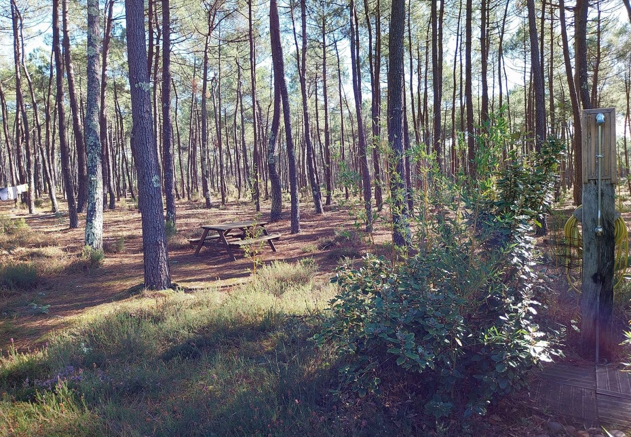Chalet in Grayan-et-l´Hôpital - Chalet Nouvelle Calédonie 1