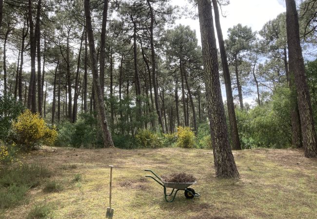 Chalet in Grayan-et-l´Hôpital - Chalet Amérique du Sud 17 Chalet in Grayan-et-l´Hôpital - Chalet Amérique du Sud 17