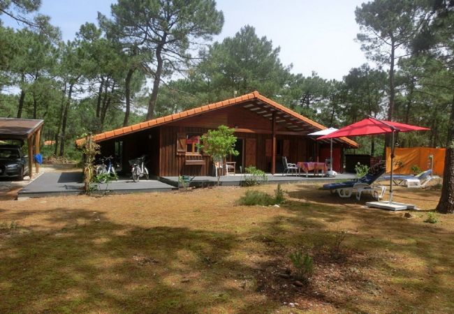 Chalet in Grayan-et-l´Hôpital - Chalet Nigéria 9