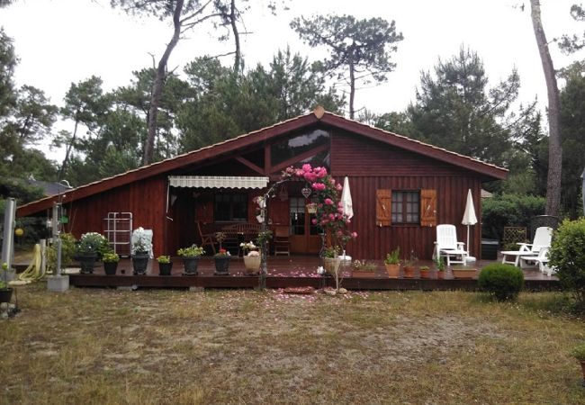 freistehendes Haus in Grayan-et-l´Hôpital - Chalet Floride 15
