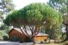 Chalet in Grayan-et-l´Hôpital - Chalet Californie 5 Chalet in Grayan-et-l´Hôpital - Chalet Californie 5