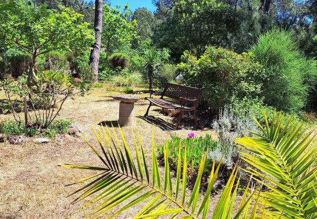 Chalet in Grayan-et-l´Hôpital - Chalet Guyane 2 Chalet in Grayan-et-l´Hôpital - Chalet Guyane 2