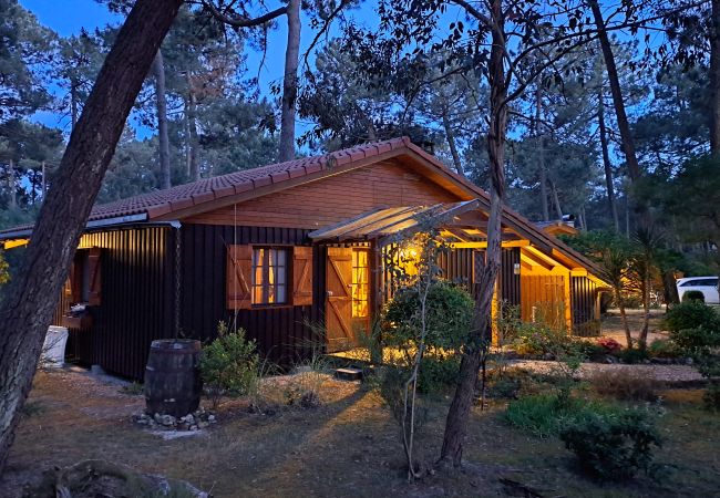 Chalet in Grayan-et-l´Hôpital - Chalet Guyane 2 Chalet in Grayan-et-l´Hôpital - Chalet Guyane 2