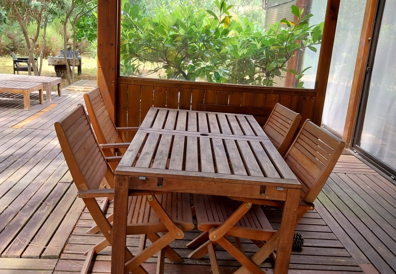 Chalet in Grayan-et-l´Hôpital - Chalet Afrique 16