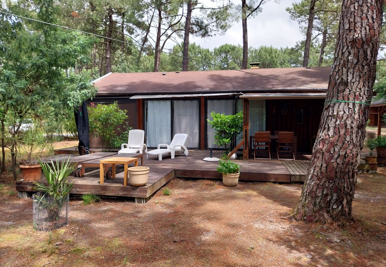 Chalet in Grayan-et-l´Hôpital - Chalet Afrique 16