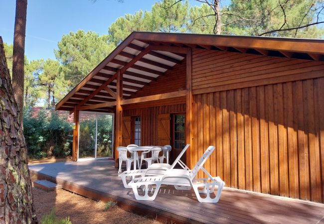 Chalet in Grayan-et-l´Hôpital - Chalet Afrique 19 Chalet in Grayan-et-l´Hôpital - Chalet Afrique 19