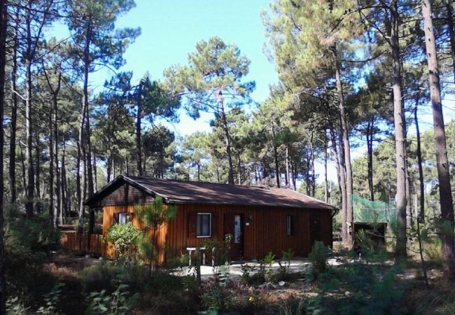 freistehendes Haus in Grayan-et-l´Hôpital - Chalet Amérique du Sud 13