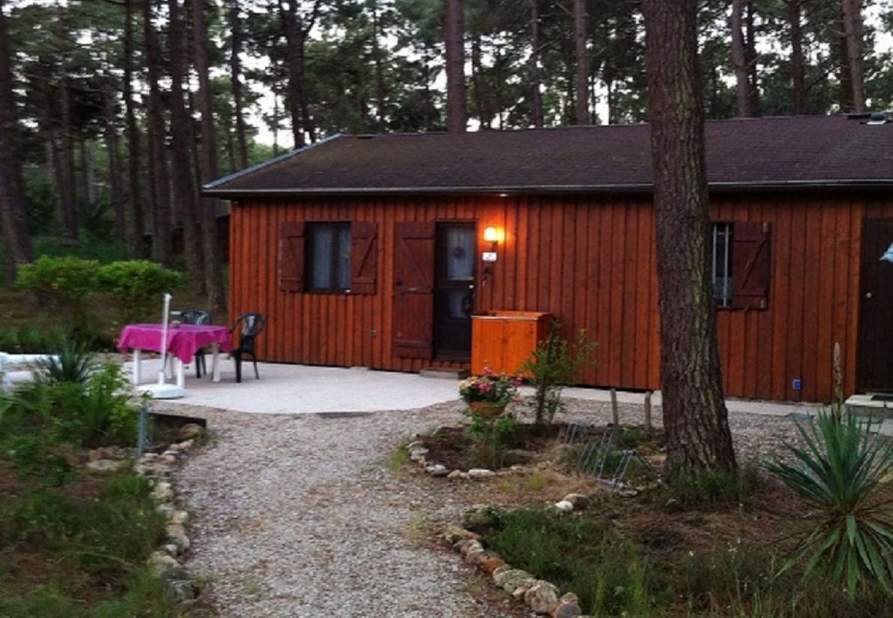 Chalet in Grayan-et-l´Hôpital - Chalet Amérique du Sud 13