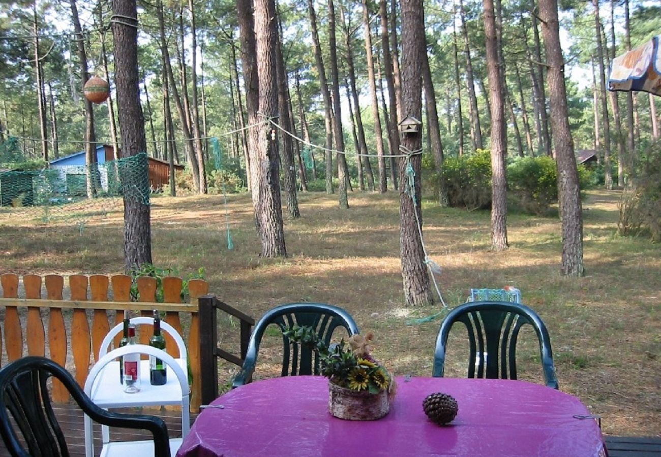 Chalet in Grayan-et-l´Hôpital - Chalet Amérique du Sud 13