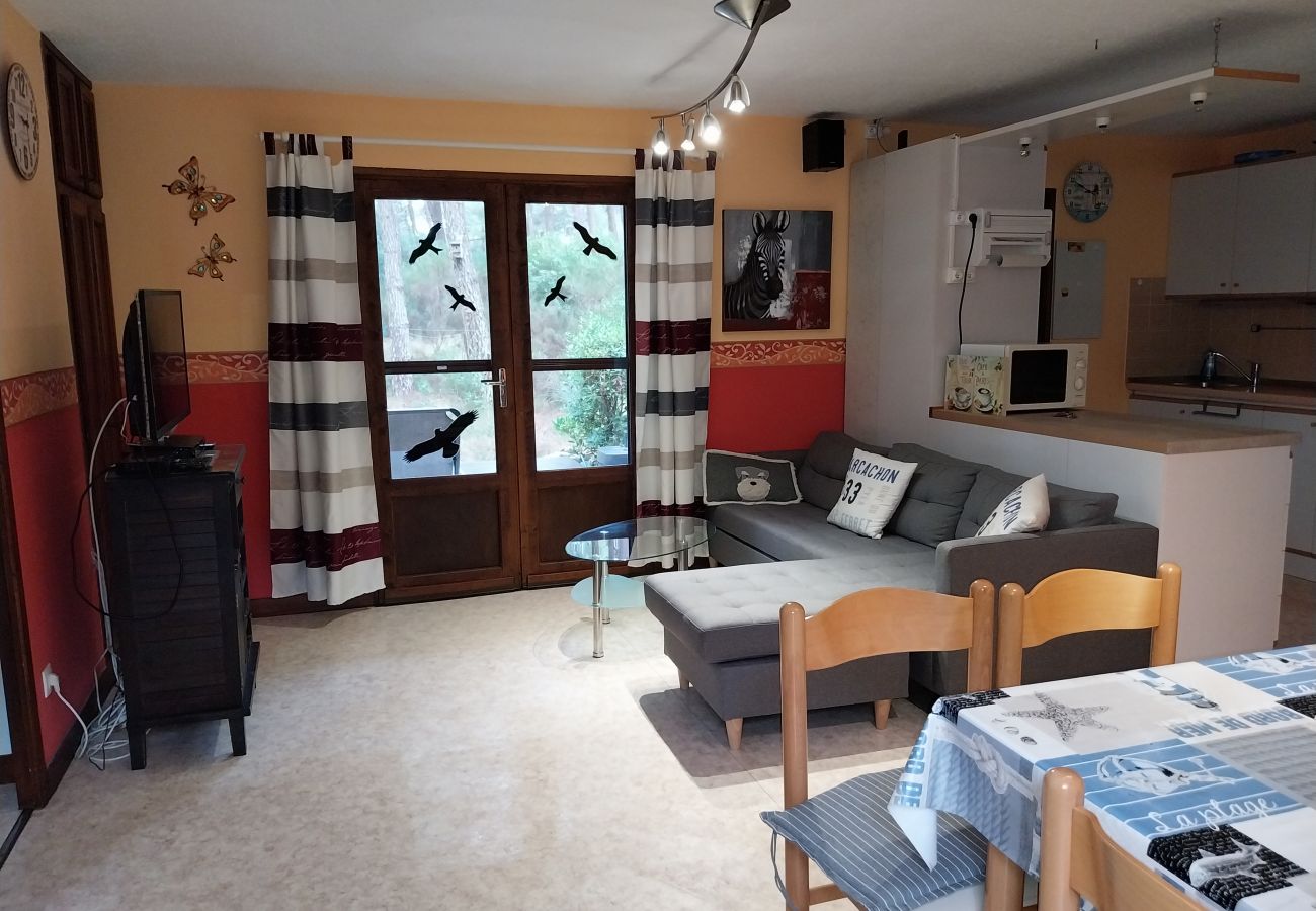Chalet in Grayan-et-l´Hôpital - Chalet Amérique du Sud 13