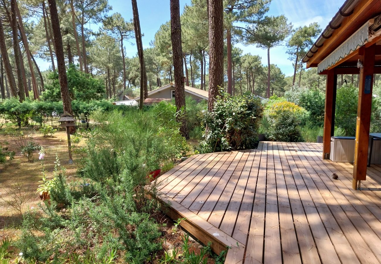 Chalet in Grayan-et-l´Hôpital - Chalet Amérique du Sud 8