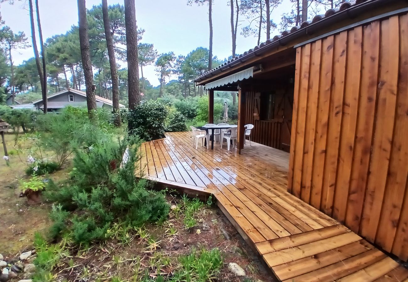 Chalet in Grayan-et-l´Hôpital - Chalet Amérique du Sud 8