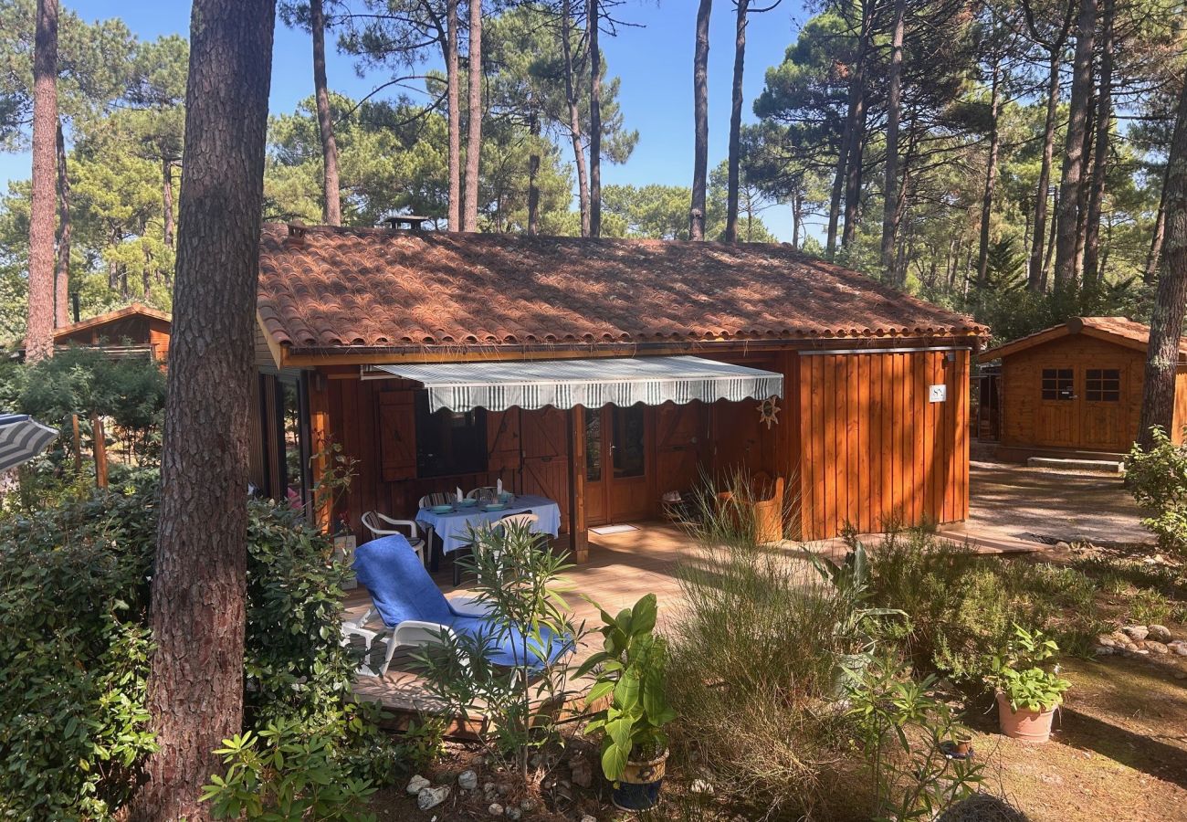 Chalet in Grayan-et-l´Hôpital - Chalet Amérique du Sud 8