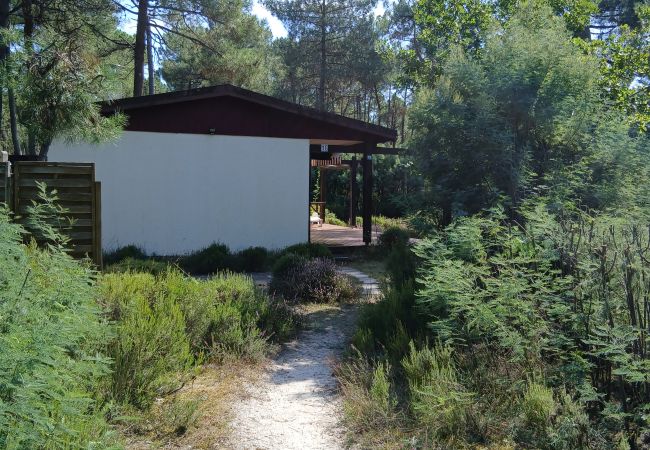Chalet in Grayan-et-l´Hôpital - Chalet Ceylan 18 Chalet in Grayan-et-l´Hôpital - Chalet Ceylan 18