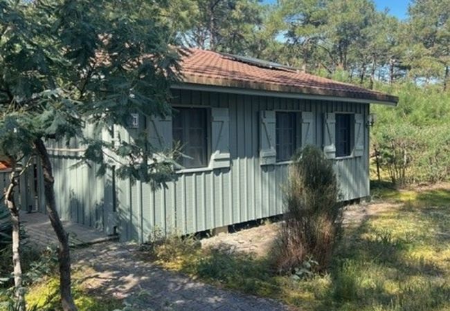 Chalet in Grayan-et-l´Hôpital - Chalet Maroc 11