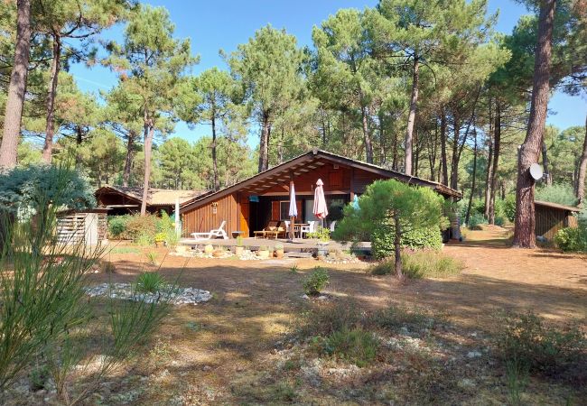 Chalet in Grayan-et-l´Hôpital - Chalet Congo 7 Chalet in Grayan-et-l´Hôpital - Chalet Congo 7