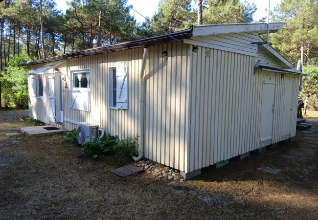 Chalet in Grayan-et-l´Hôpital - Chalet Danemark 4 Chalet in Grayan-et-l´Hôpital - Chalet Danemark 4