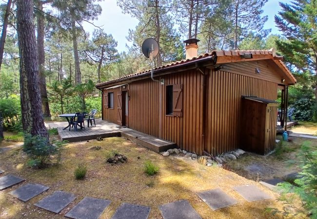 Chalet in Grayan-et-l´Hôpital - Chalet Danemark 9 Chalet in Grayan-et-l´Hôpital - Chalet Danemark 9