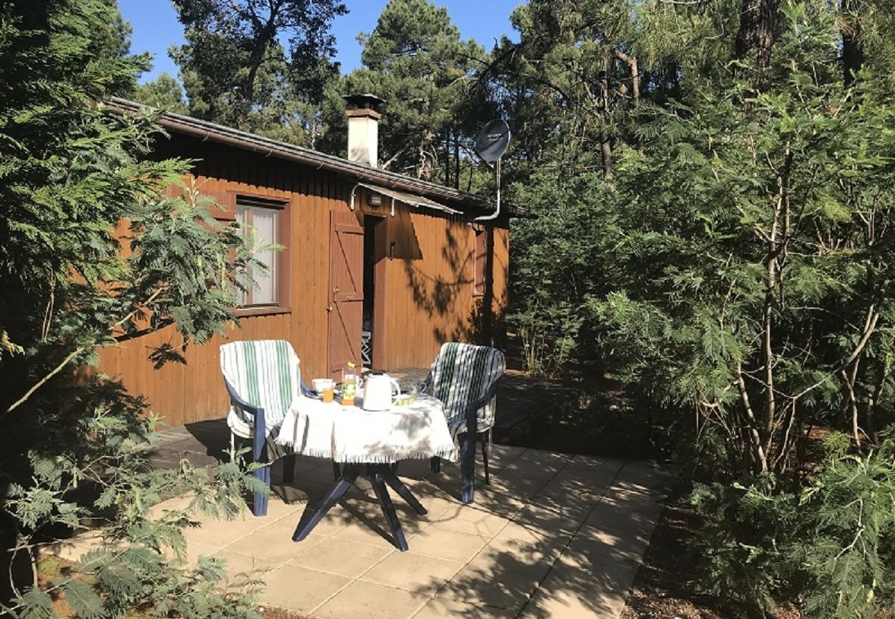 Chalet in Grayan-et-l´Hôpital - Chalet Danemark 9