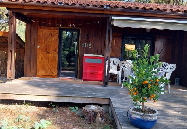 Chalet in Grayan-et-l´Hôpital - Chalet Egypte 8 Chalet in Grayan-et-l´Hôpital - Chalet Egypte 8