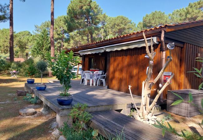 Chalet in Grayan-et-l´Hôpital - Chalet Egypte 8 Chalet in Grayan-et-l´Hôpital - Chalet Egypte 8