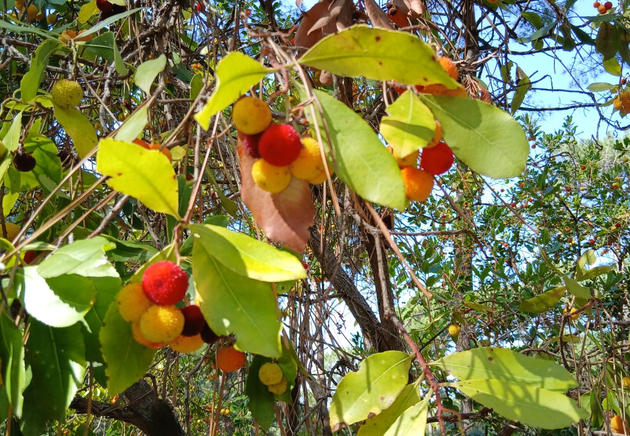 Doppelhaushälfte in Grayan-et-l´Hôpital - Maison Duo Centrafrique 5 Ouest