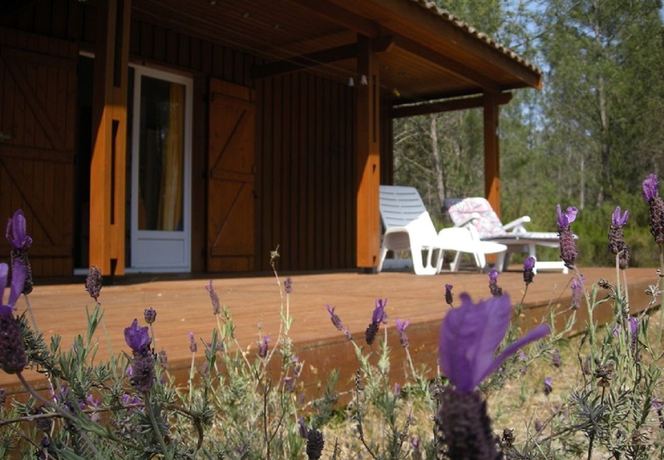 Chalet in Grayan-et-l´Hôpital - Chalet Ile de la Société 4