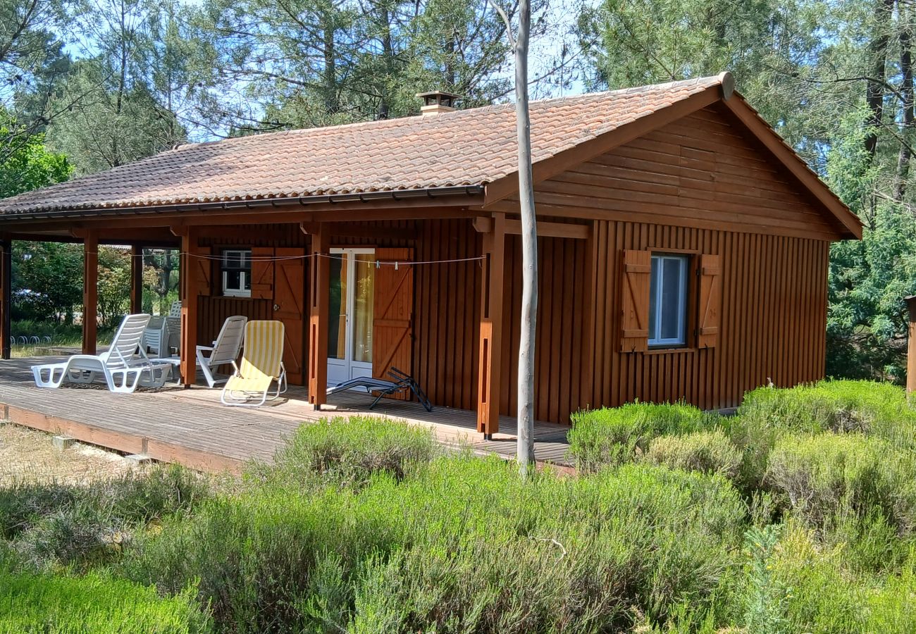 Chalet in Grayan-et-l´Hôpital - Chalet Ile de la Société 4