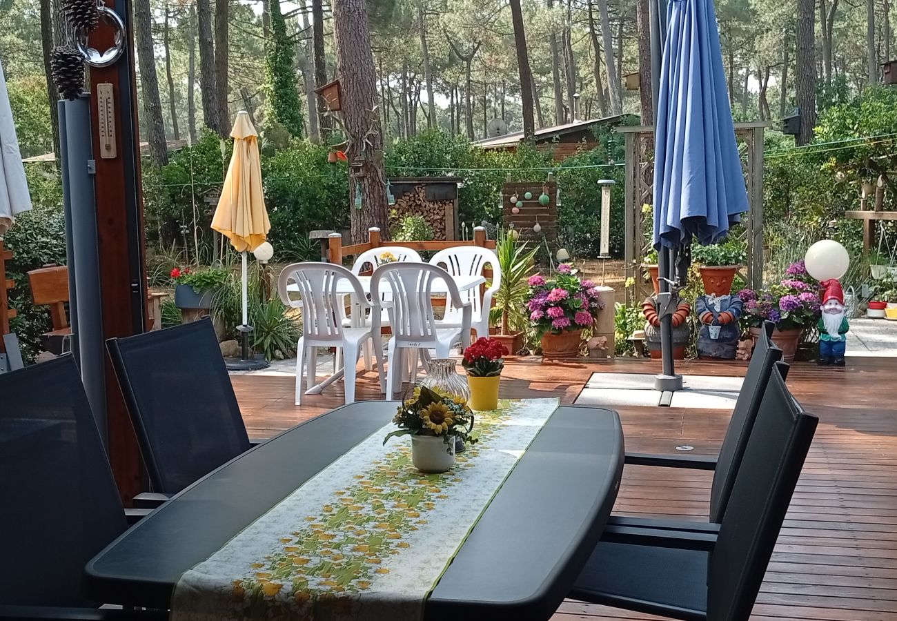 Chalet in Grayan-et-l´Hôpital - Chalet Suède 1