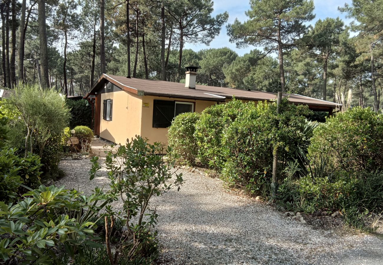 Chalet in Grayan-et-l´Hôpital - Chalet Suède 1