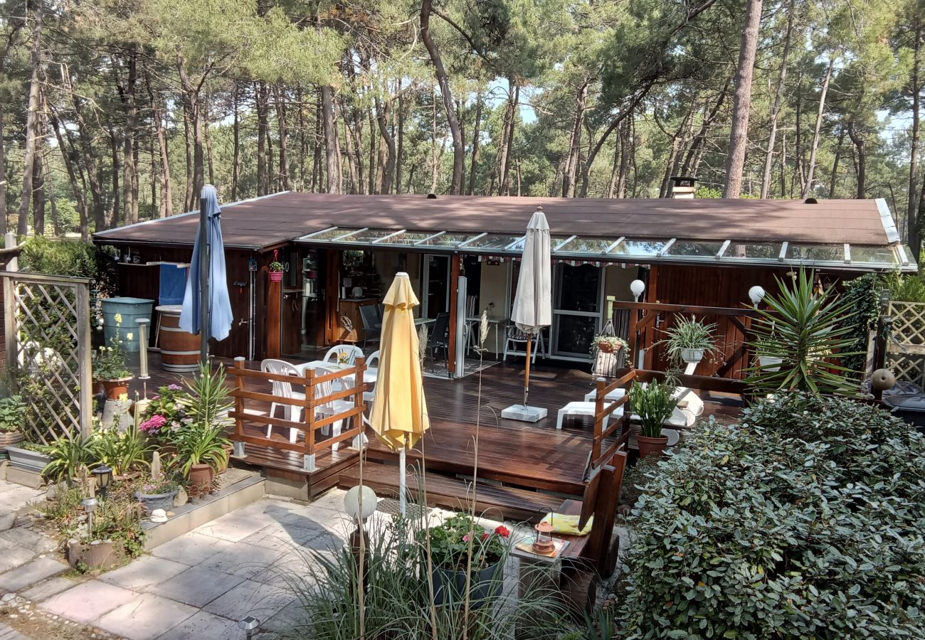 Chalet in Grayan-et-l´Hôpital - Chalet Suède 1