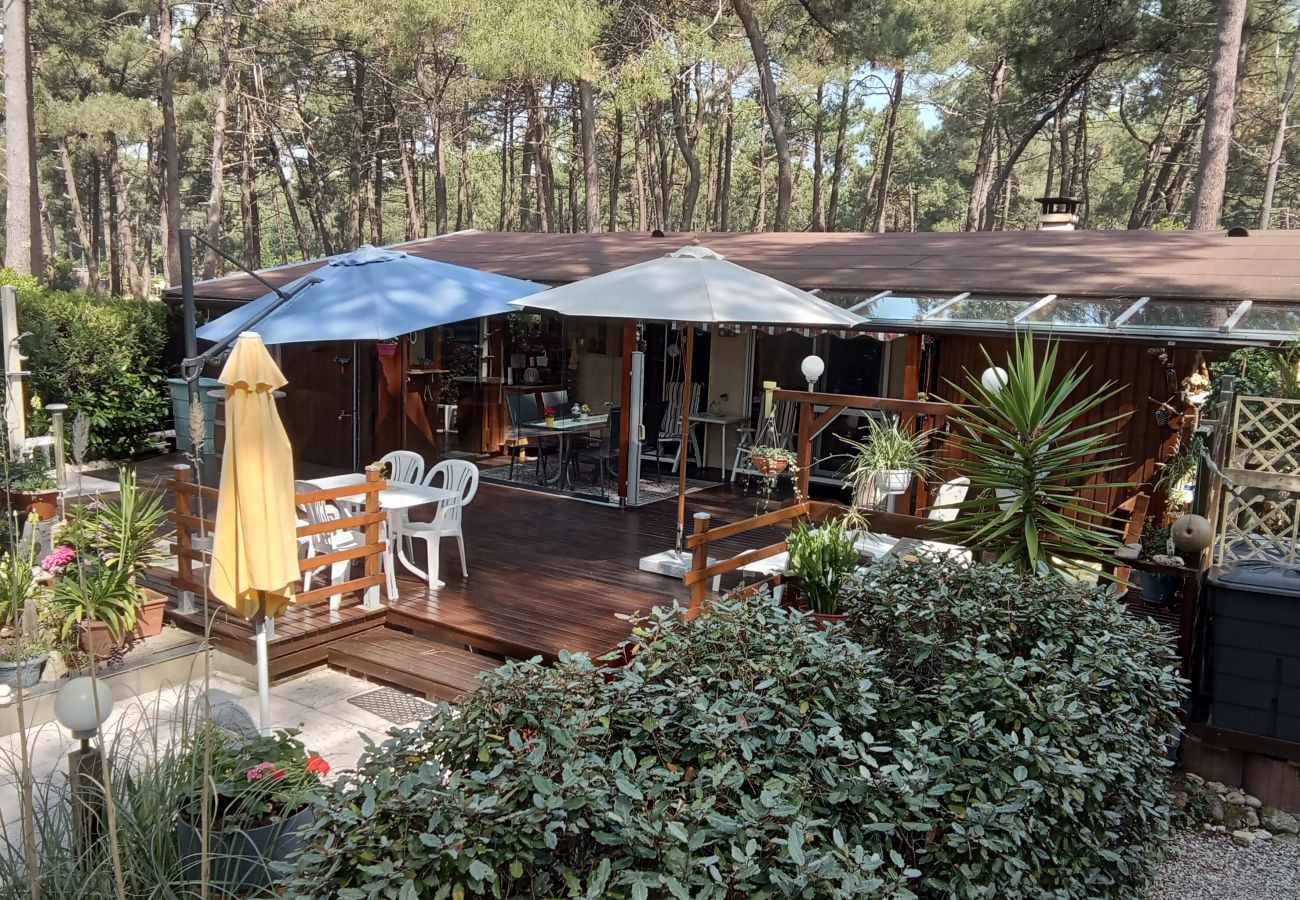 Chalet in Grayan-et-l´Hôpital - Chalet Suède 1