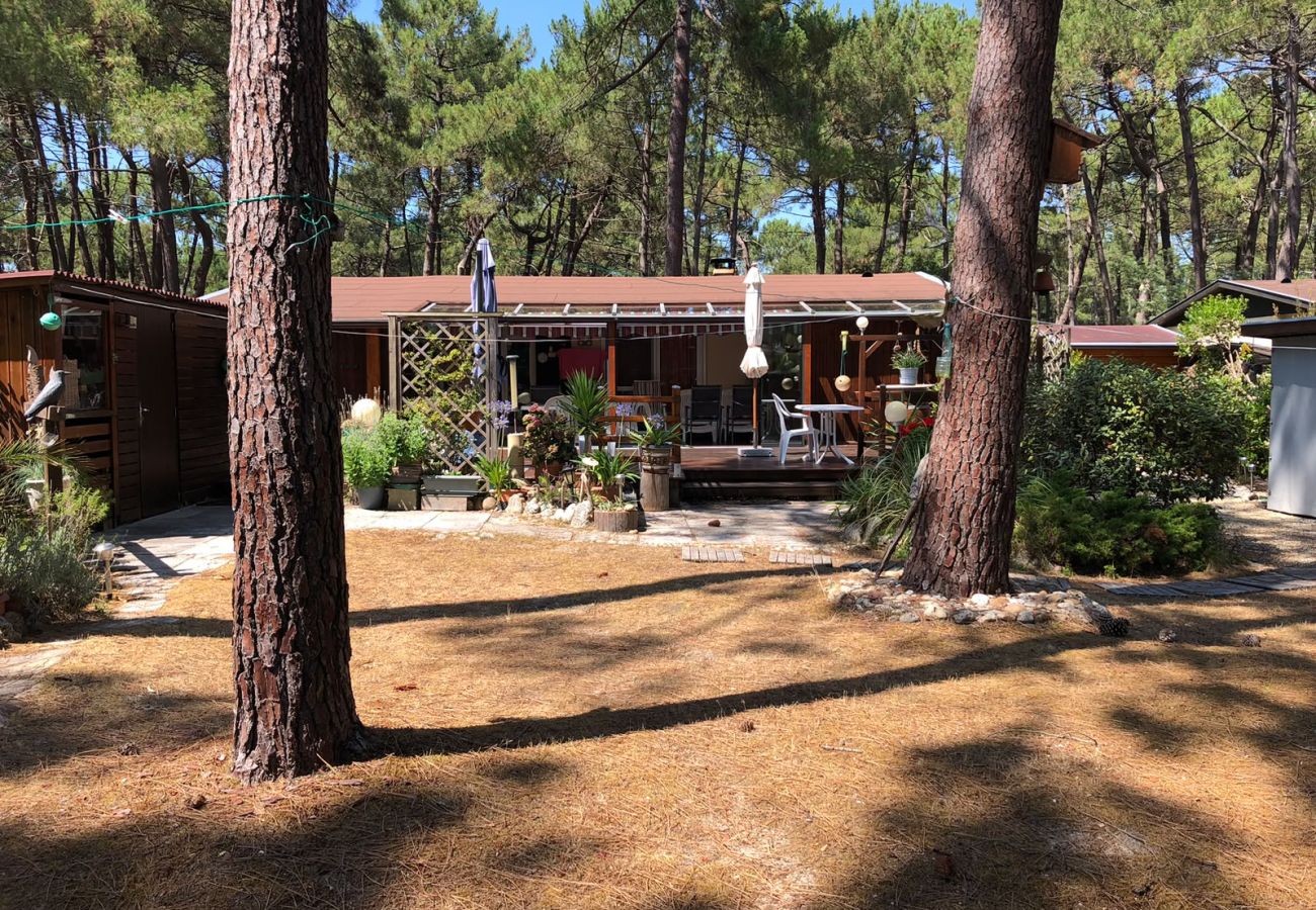 Chalet in Grayan-et-l´Hôpital - Chalet Suède 1
