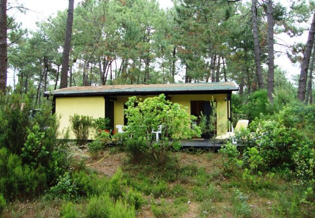 freistehendes Haus in Grayan-et-l´Hôpital - Chalet Portugal 2