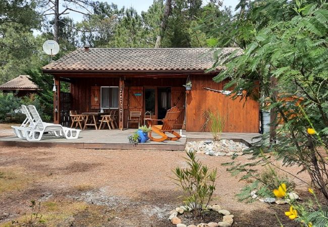 freistehendes Haus in Grayan-et-l´Hôpital - Chalet Salvador 4