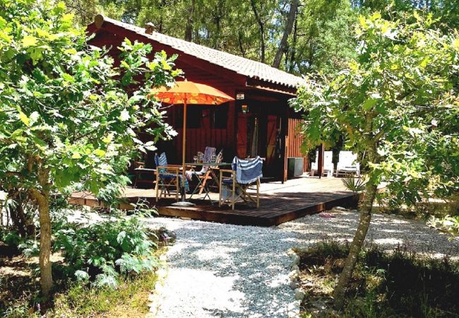 freistehendes Haus in Grayan-et-l´Hôpital - Chalet Salvador 5