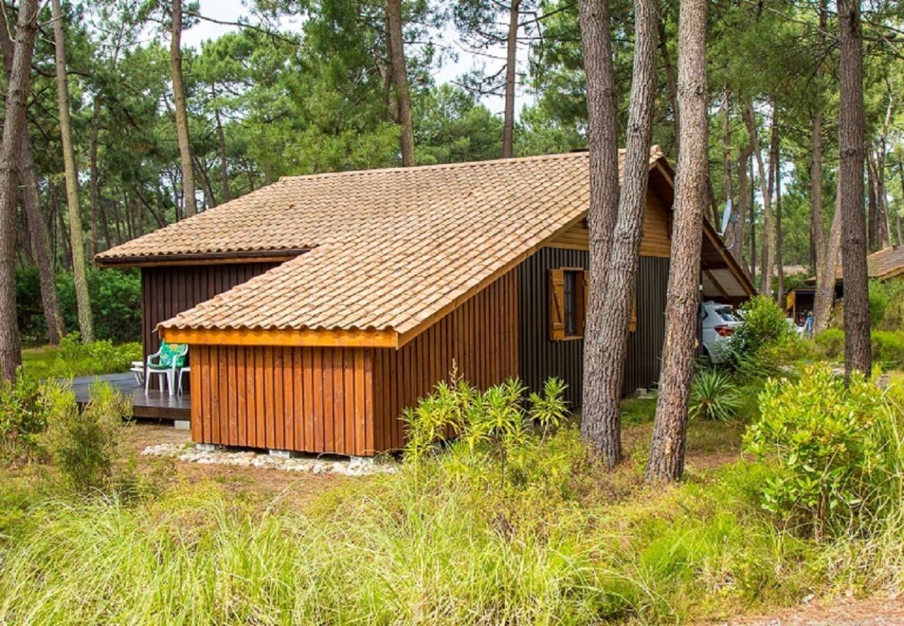 Chalet in Grayan-et-l´Hôpital - Chalet Martinique 3