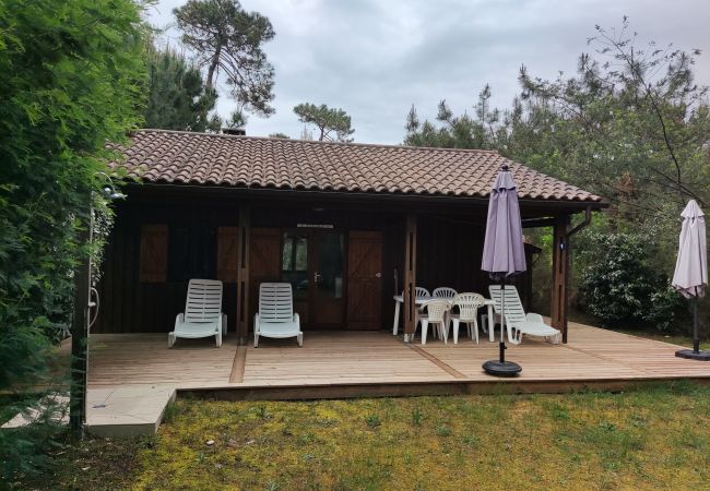 Chalet in Grayan-et-l´Hôpital - Chalet Mississippi 1