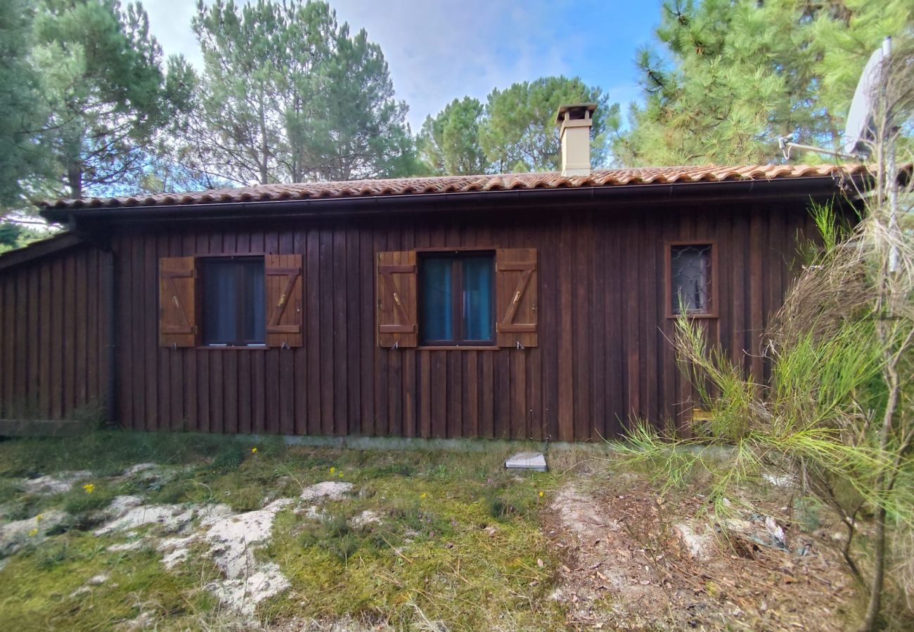 Chalet in Grayan-et-l´Hôpital - Chalet Mississippi 1