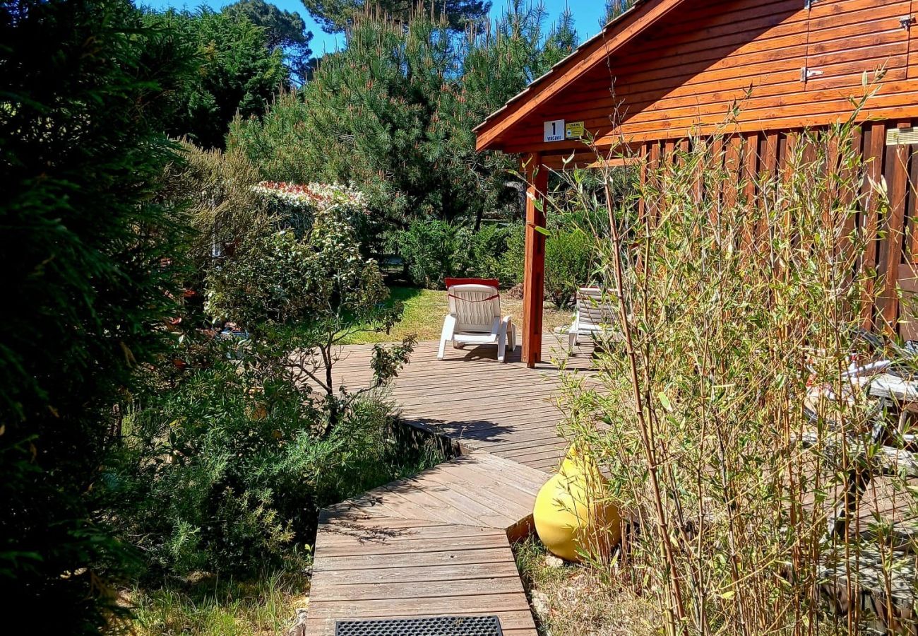 Chalet in Grayan-et-l´Hôpital - Chalet Virginie 1