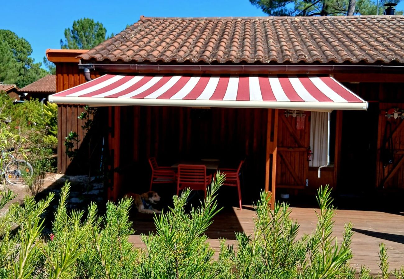 Chalet in Grayan-et-l´Hôpital - Chalet Virginie 1