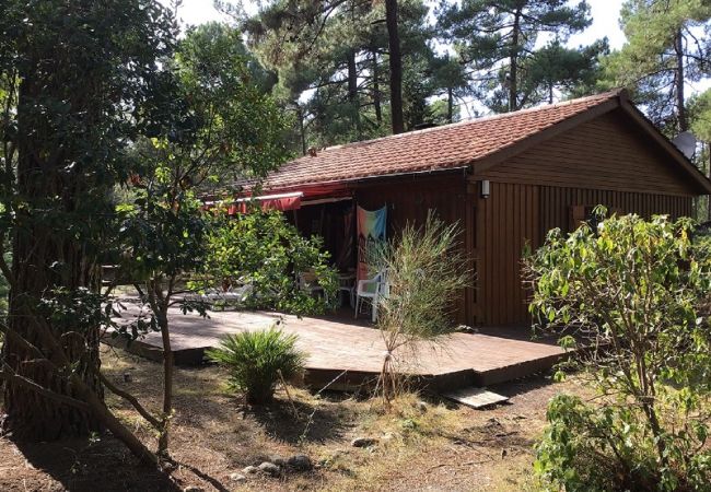 freistehendes Haus in Grayan-et-l´Hôpital - Chalet Pérou 1