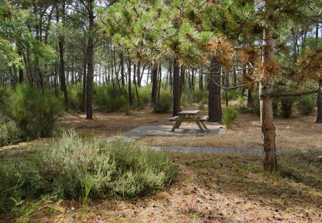 Villa in Grayan-et-l´Hôpital - Villa Californie 10 Villa in Grayan-et-l´Hôpital - Villa Californie 10