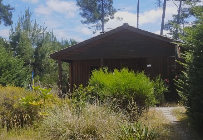 Chalet in Grayan-et-l´Hôpital - Chalet Arizona 21